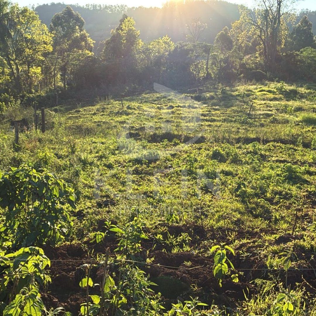 4588_88892.jpg