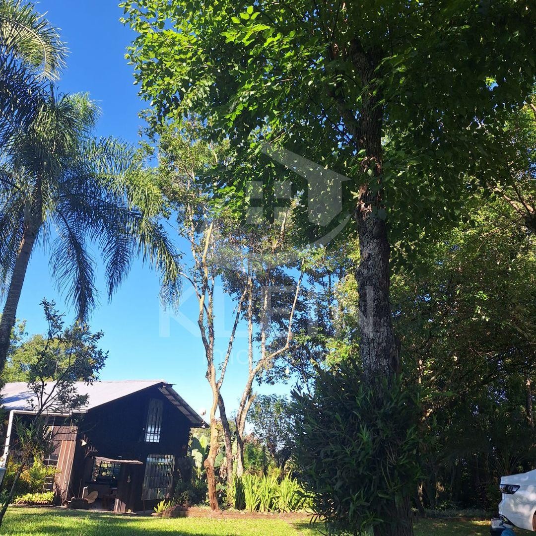 4675_90345.jpg