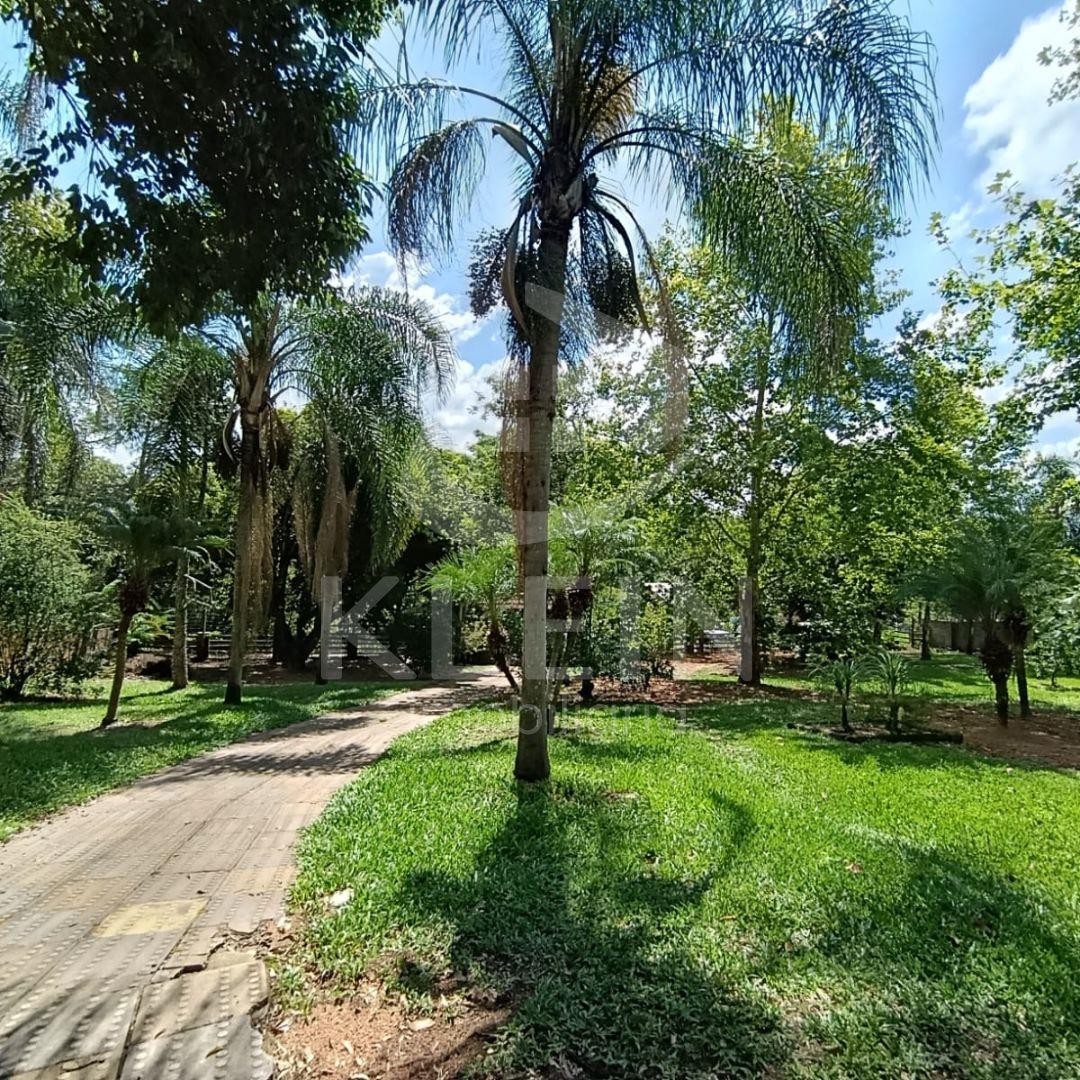 4737_91095.jpg