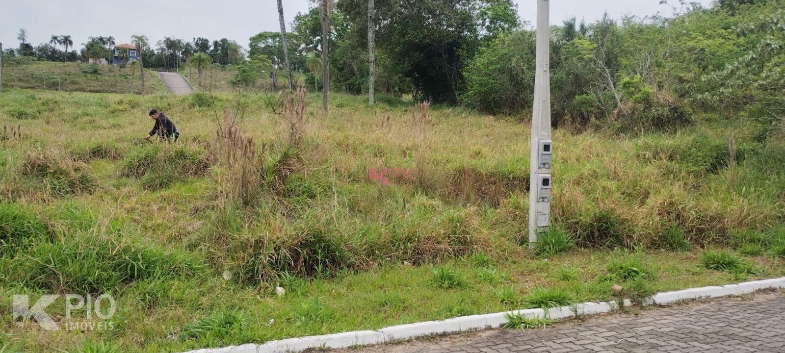 529_4778.jpg