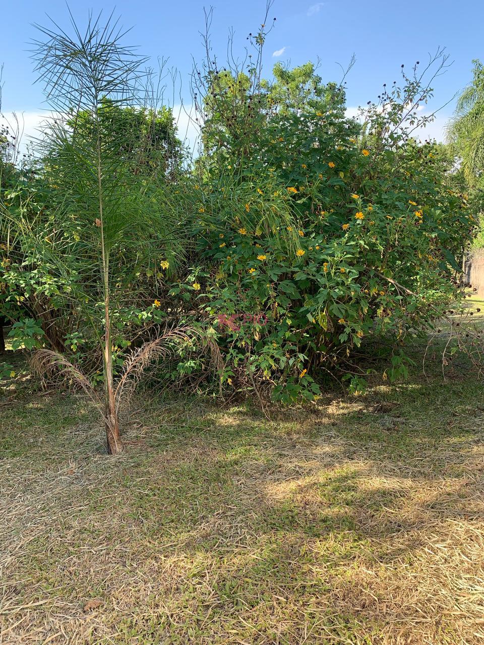 577_5666.jpg