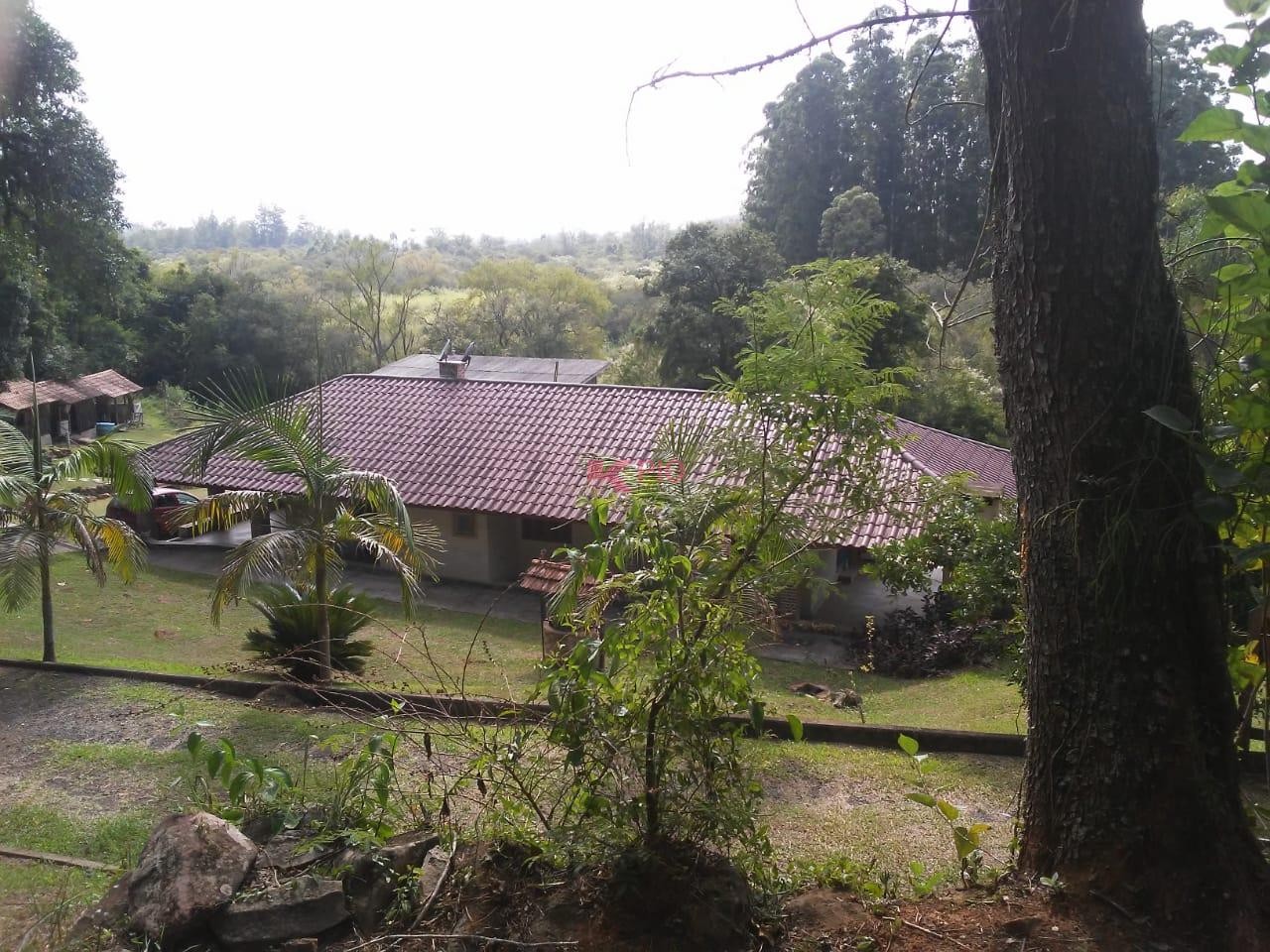 728_7955.jpg