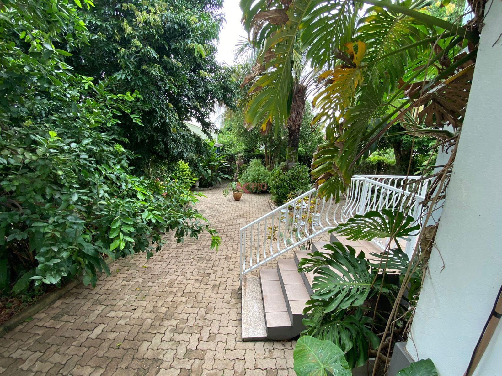 733_8071.jpg