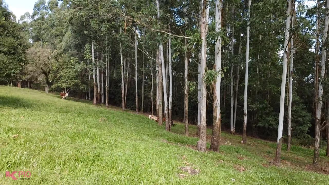 749_8353.jpg