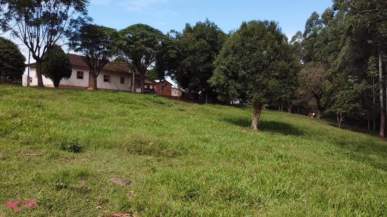 749_8356.jpg