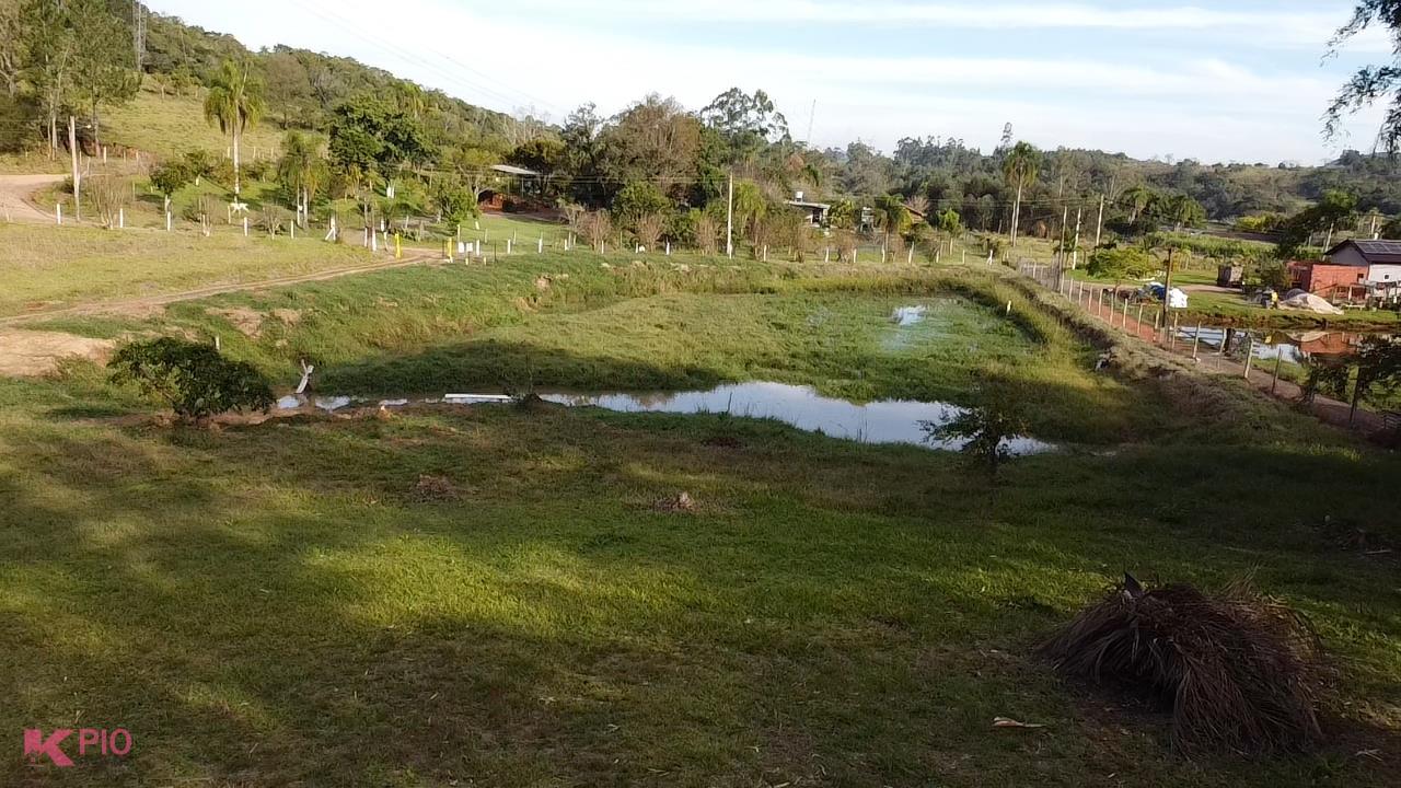 870_10125.jpg