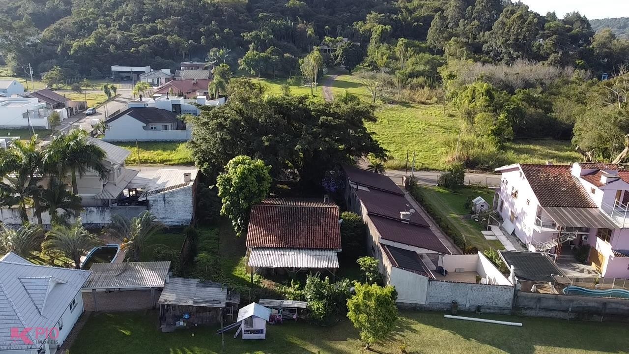 919_10781.jpg