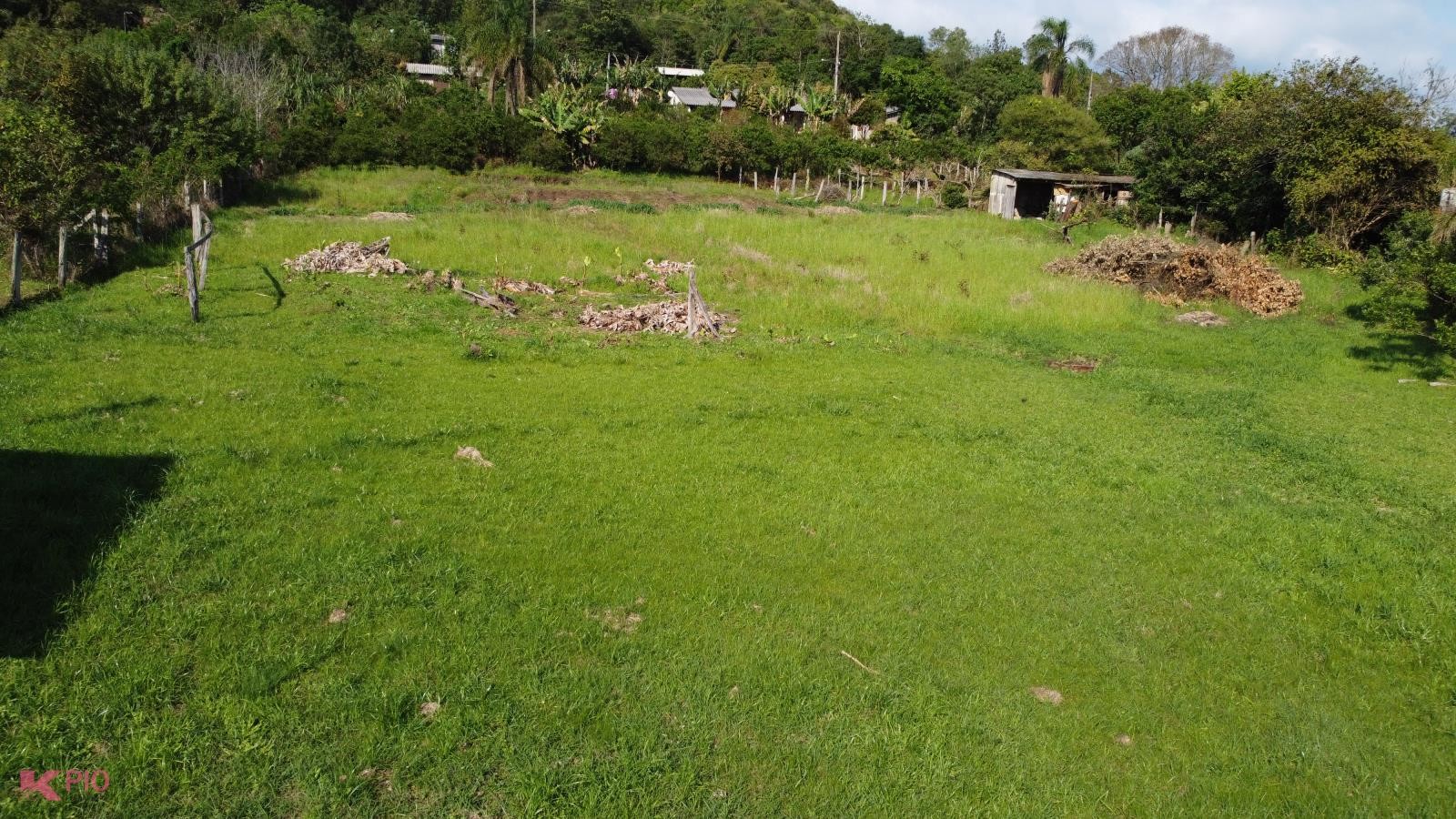 962_11478.jpg