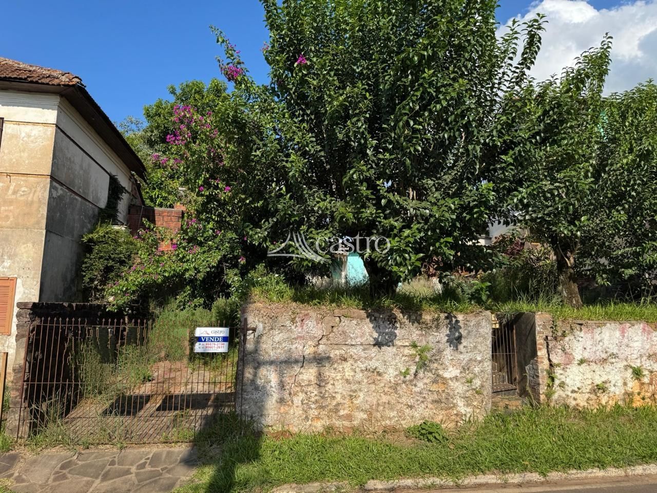 img278952072