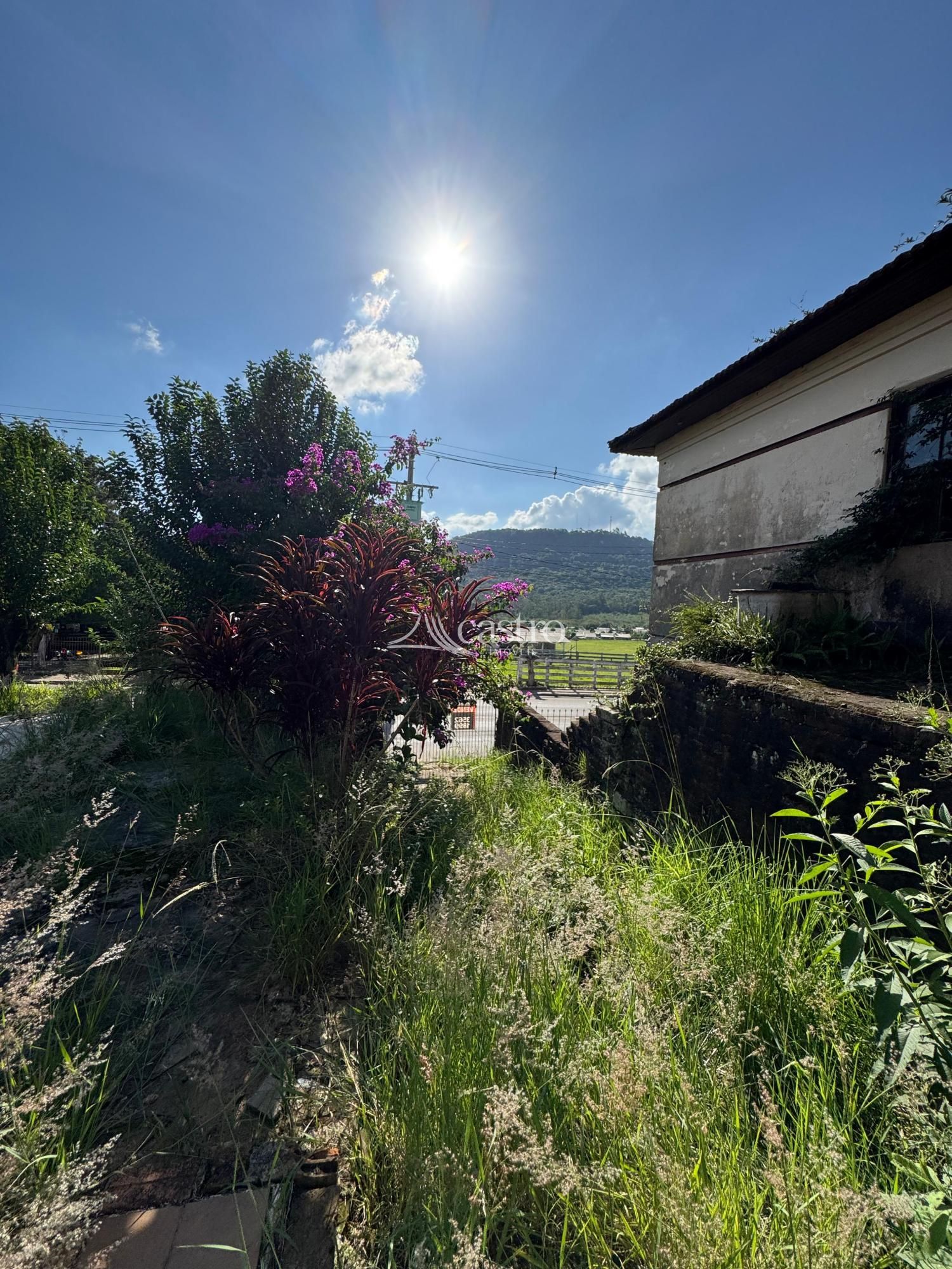 img189253248