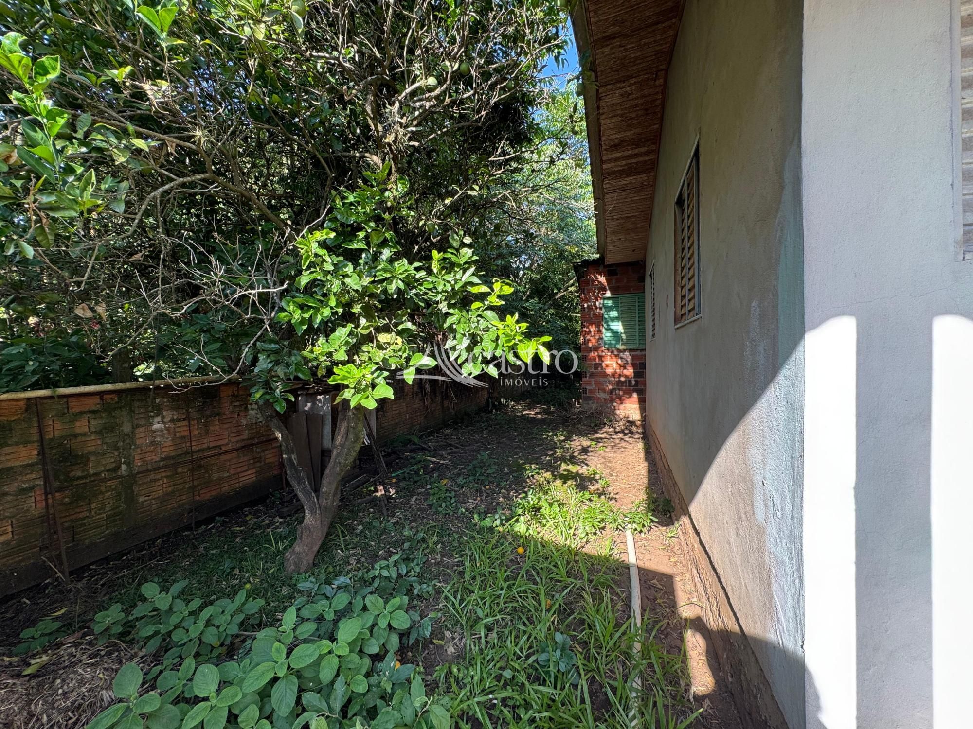 img189253263