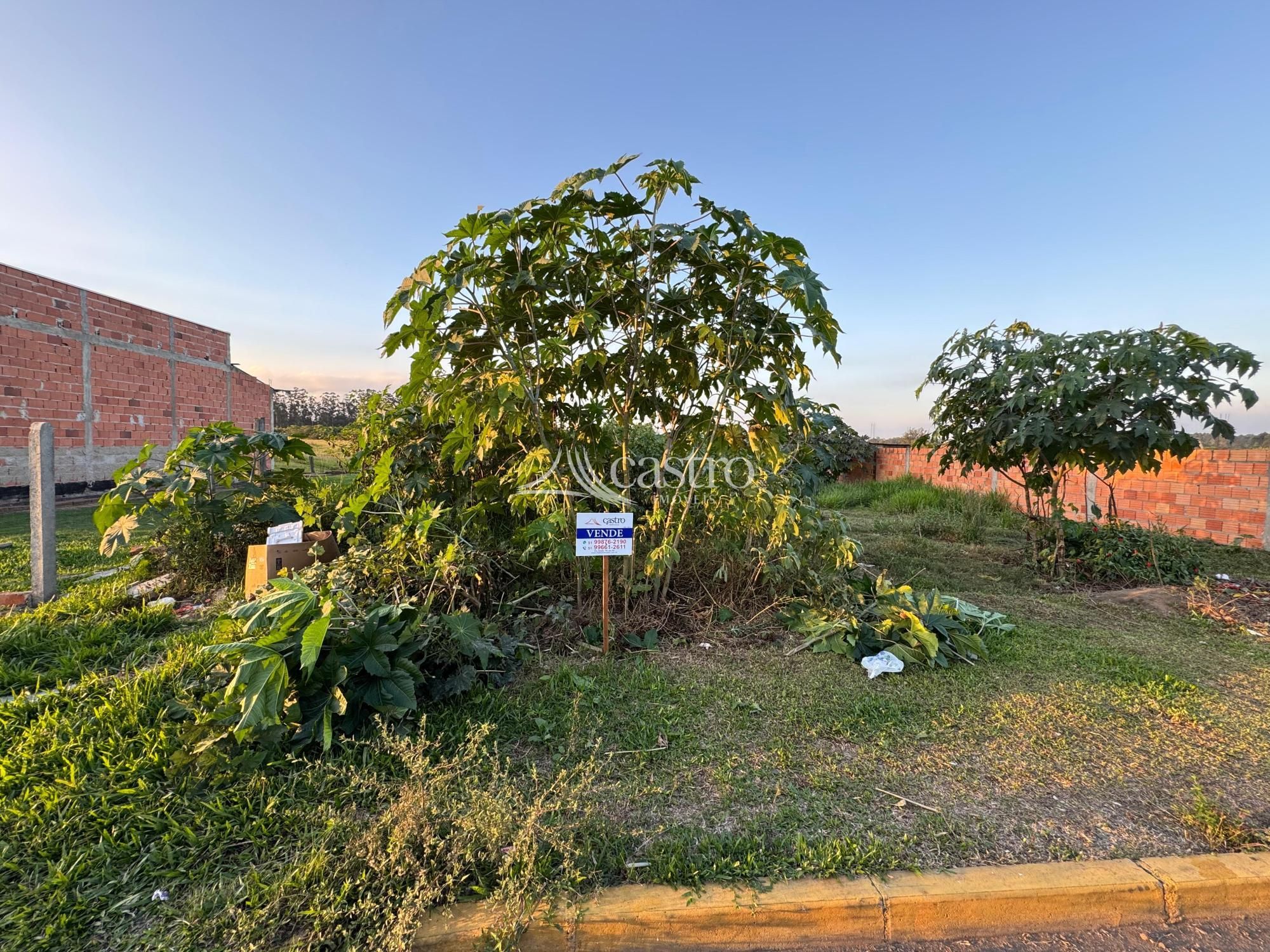 img189292481
