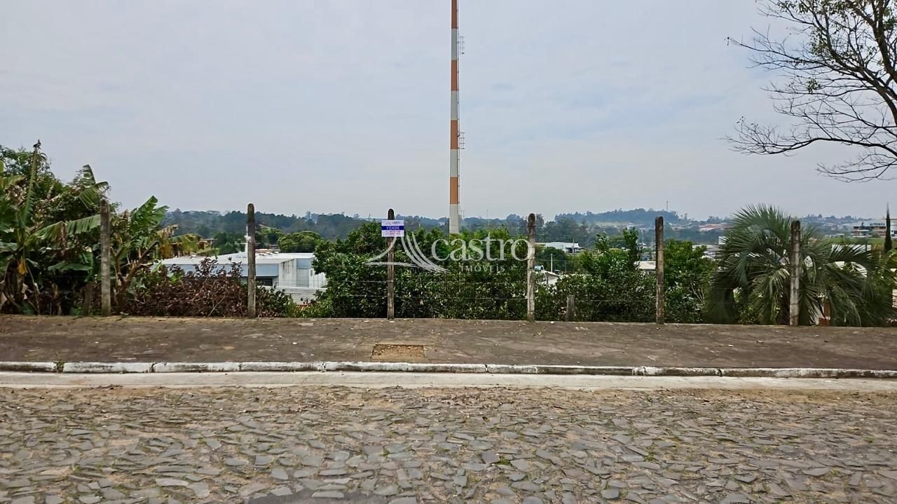img260869804