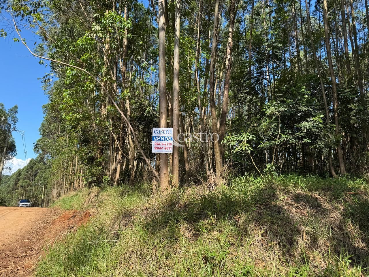 img191347497