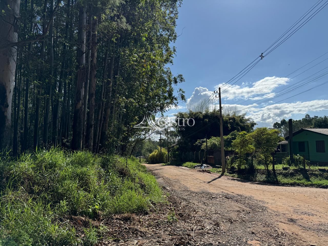 img191347508