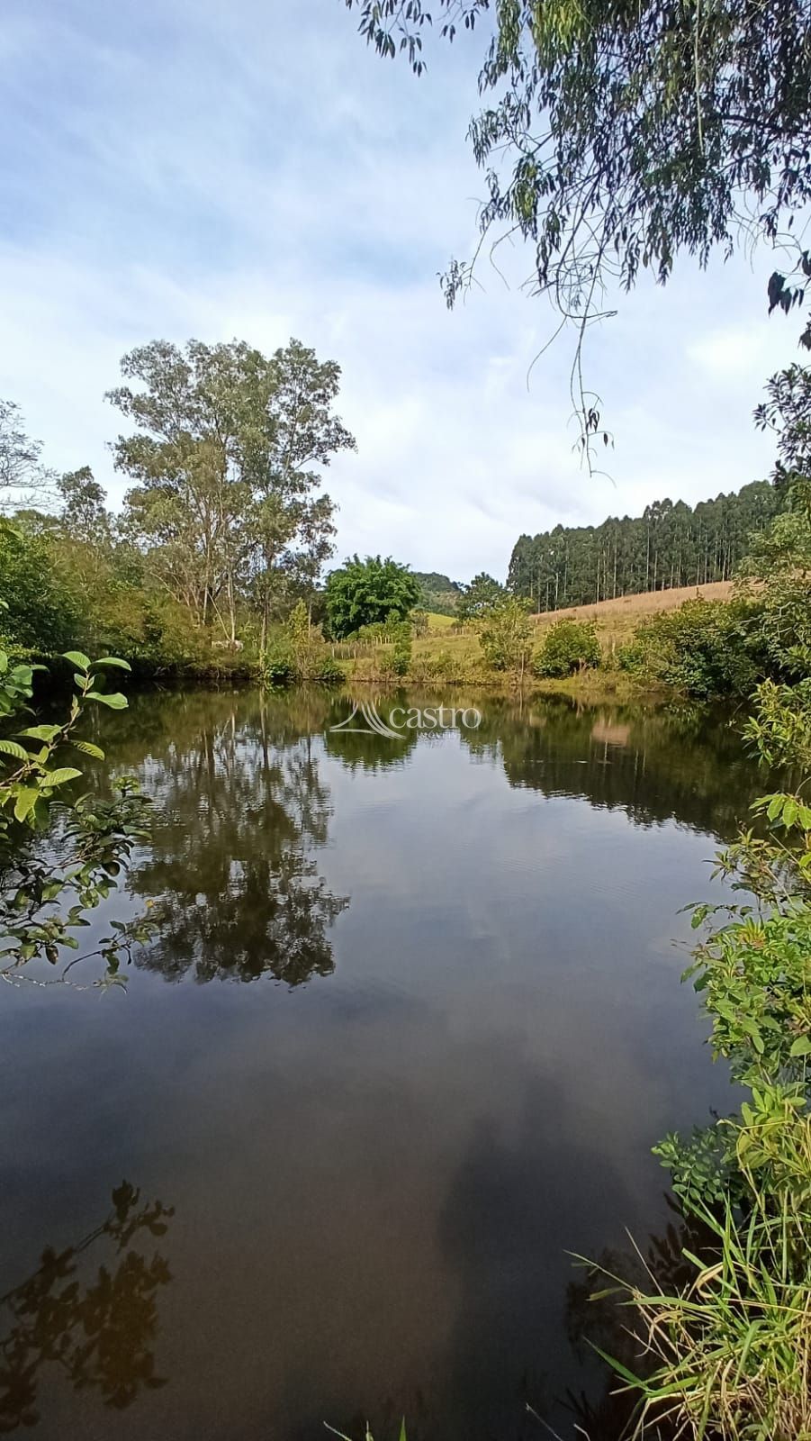 img191814777