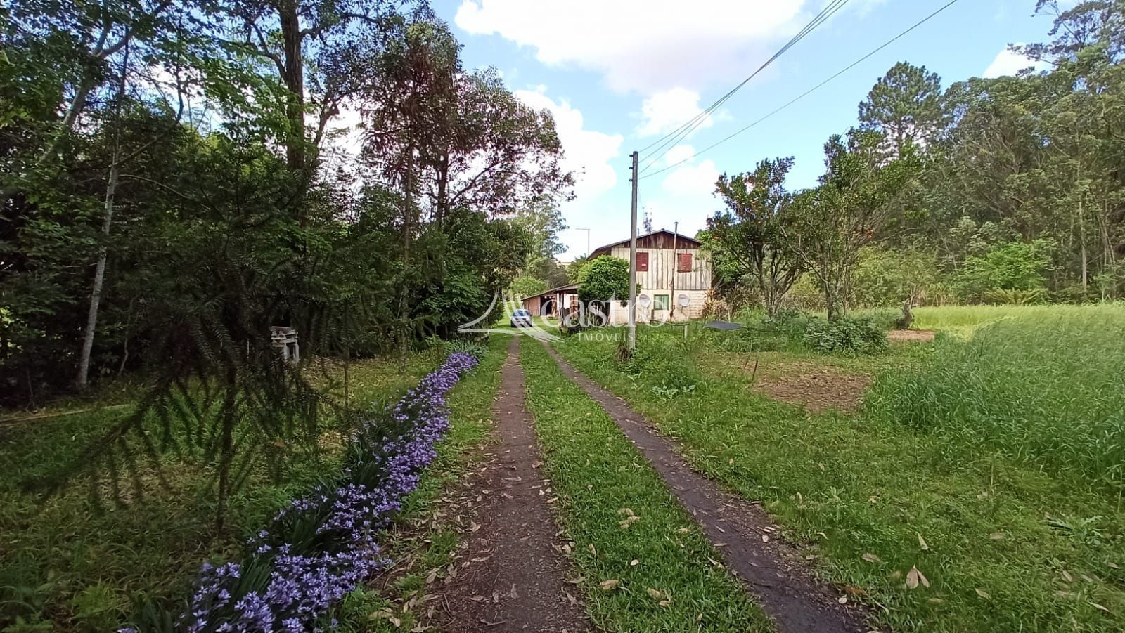 img191814787