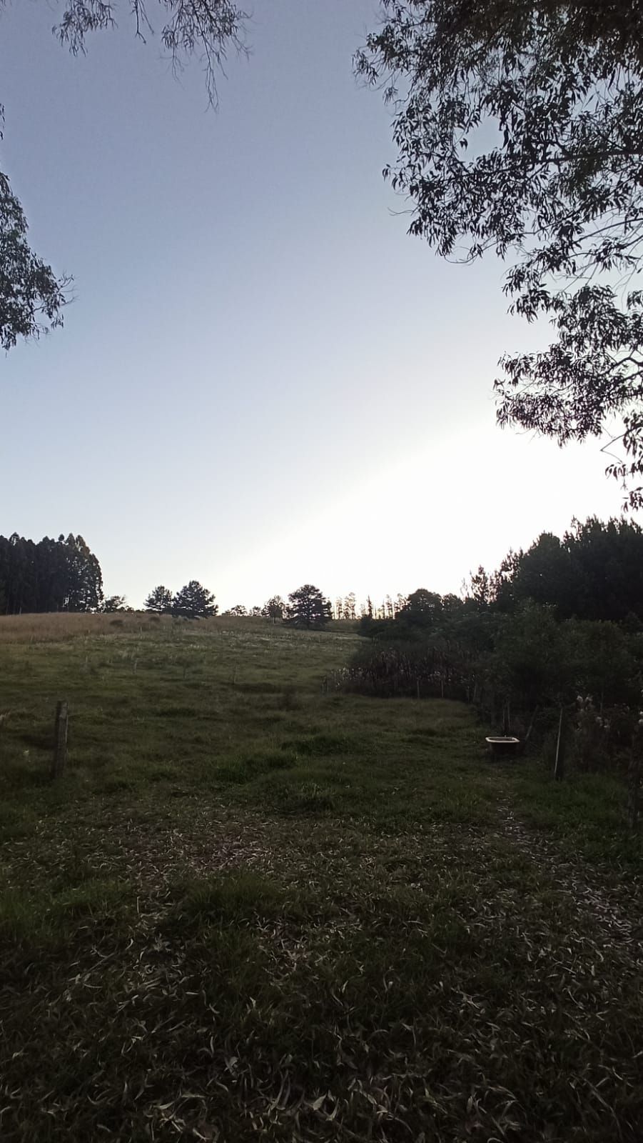 img191814933