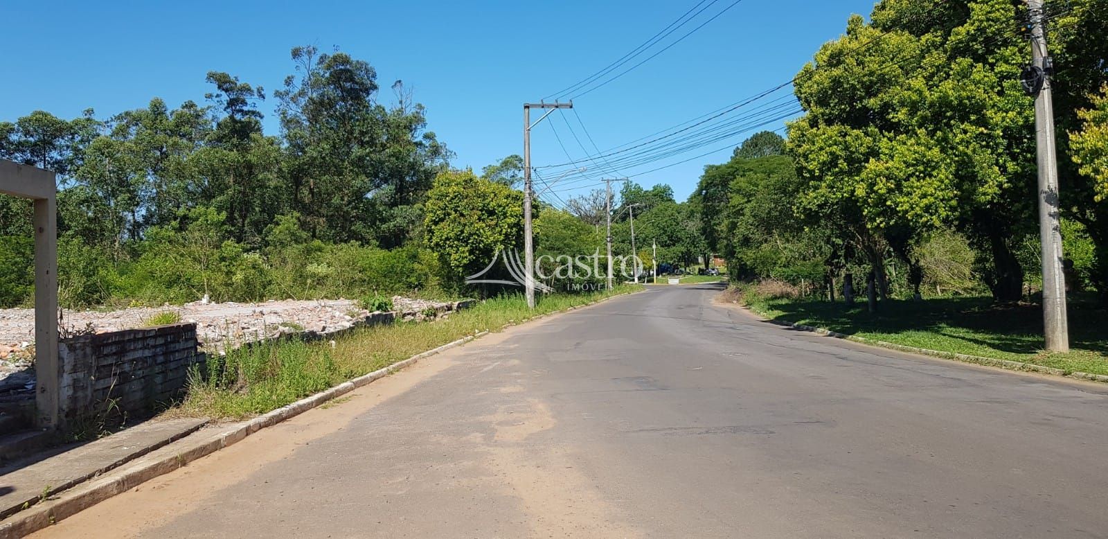img191890035
