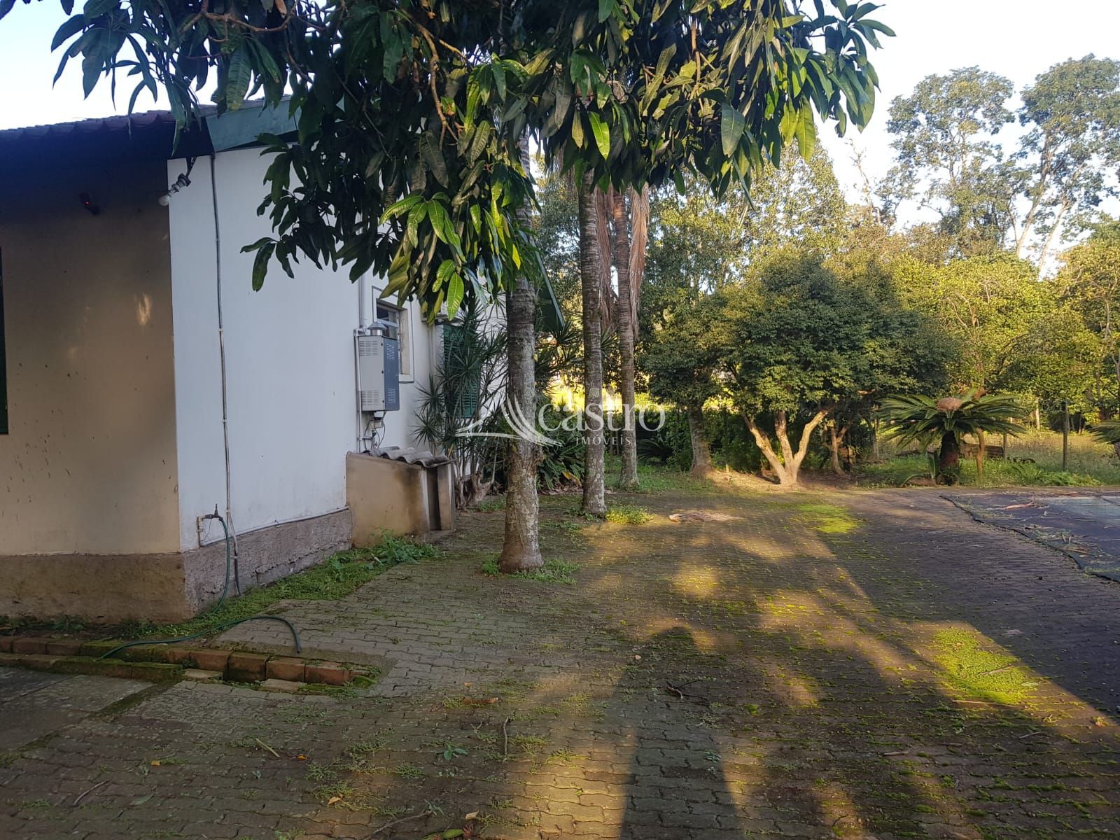 img192042561