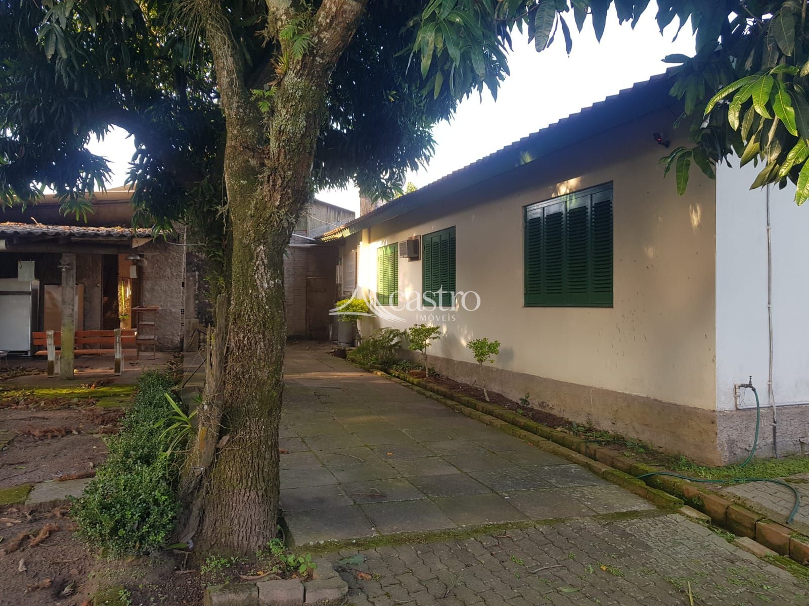 img192042519