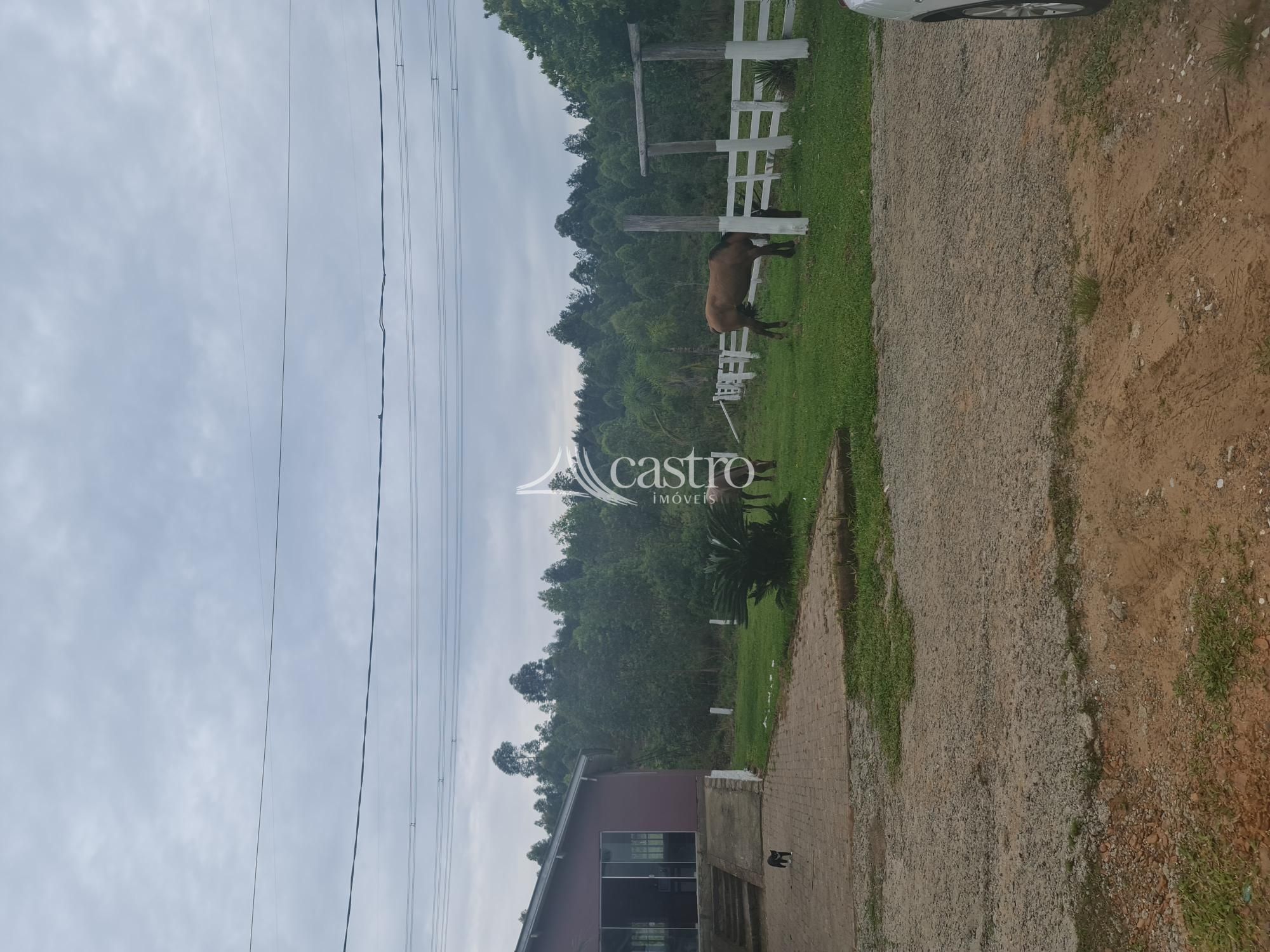 img192558856