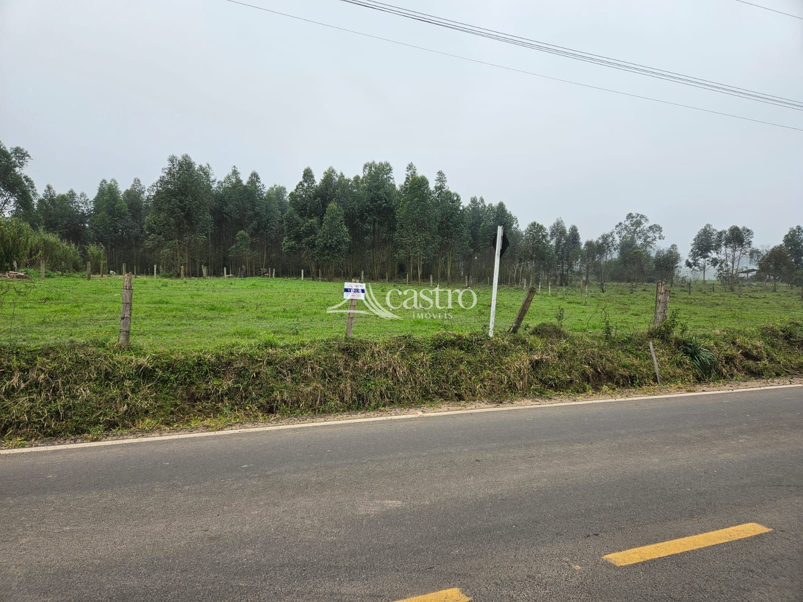 img192578582