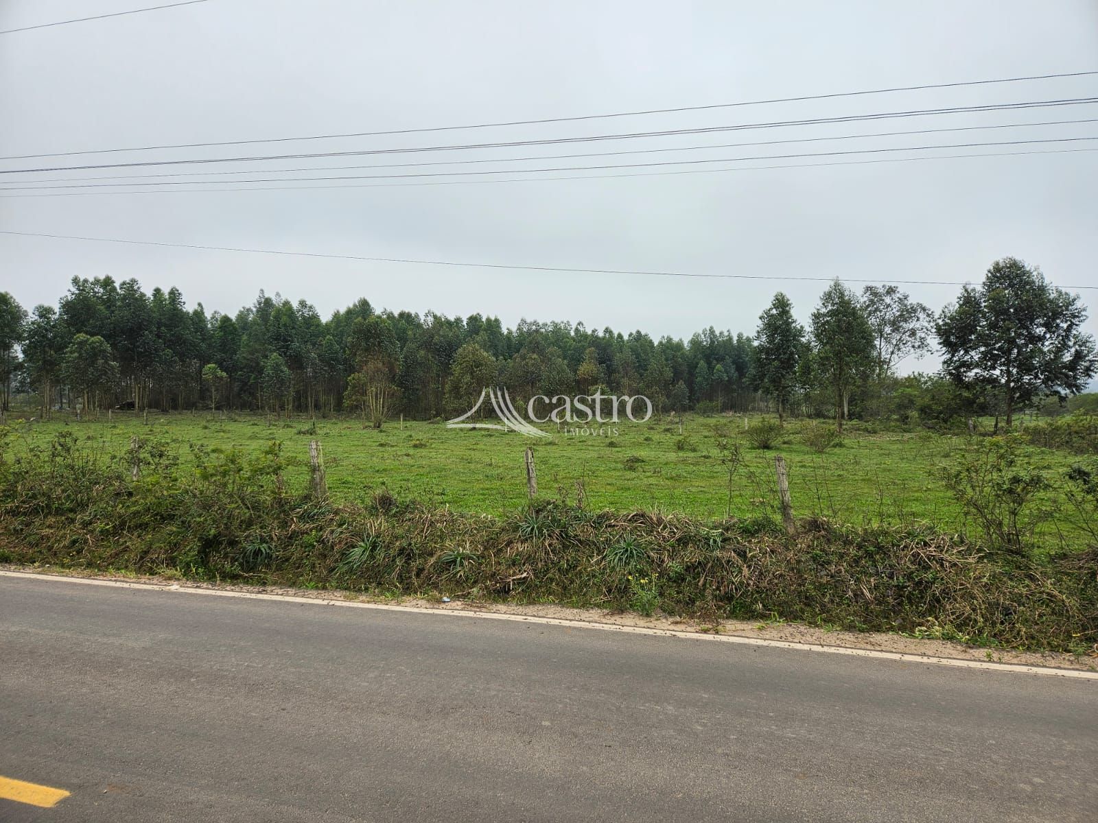 img192578583