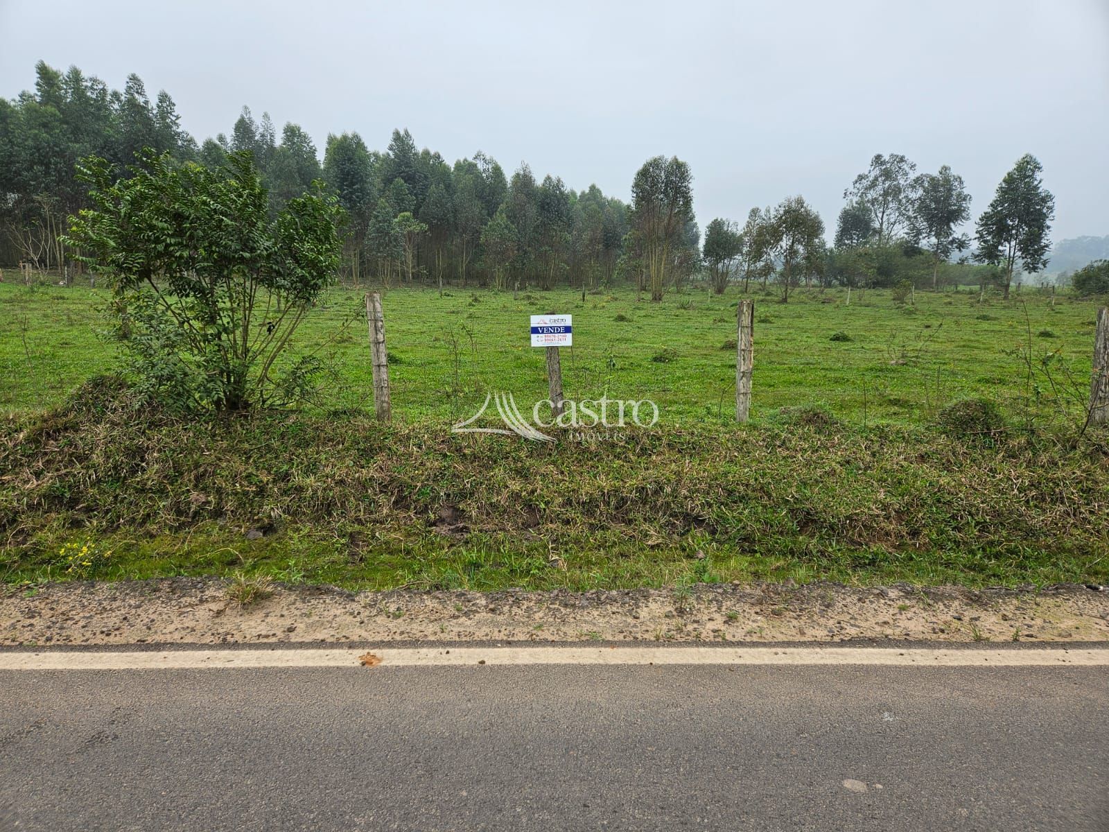 img192578586