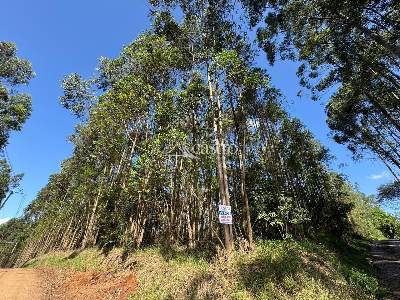 img192708822