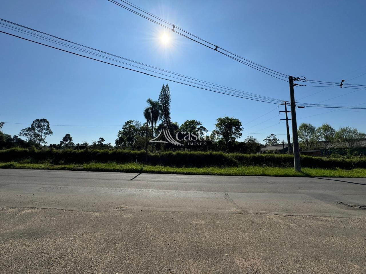img192716344