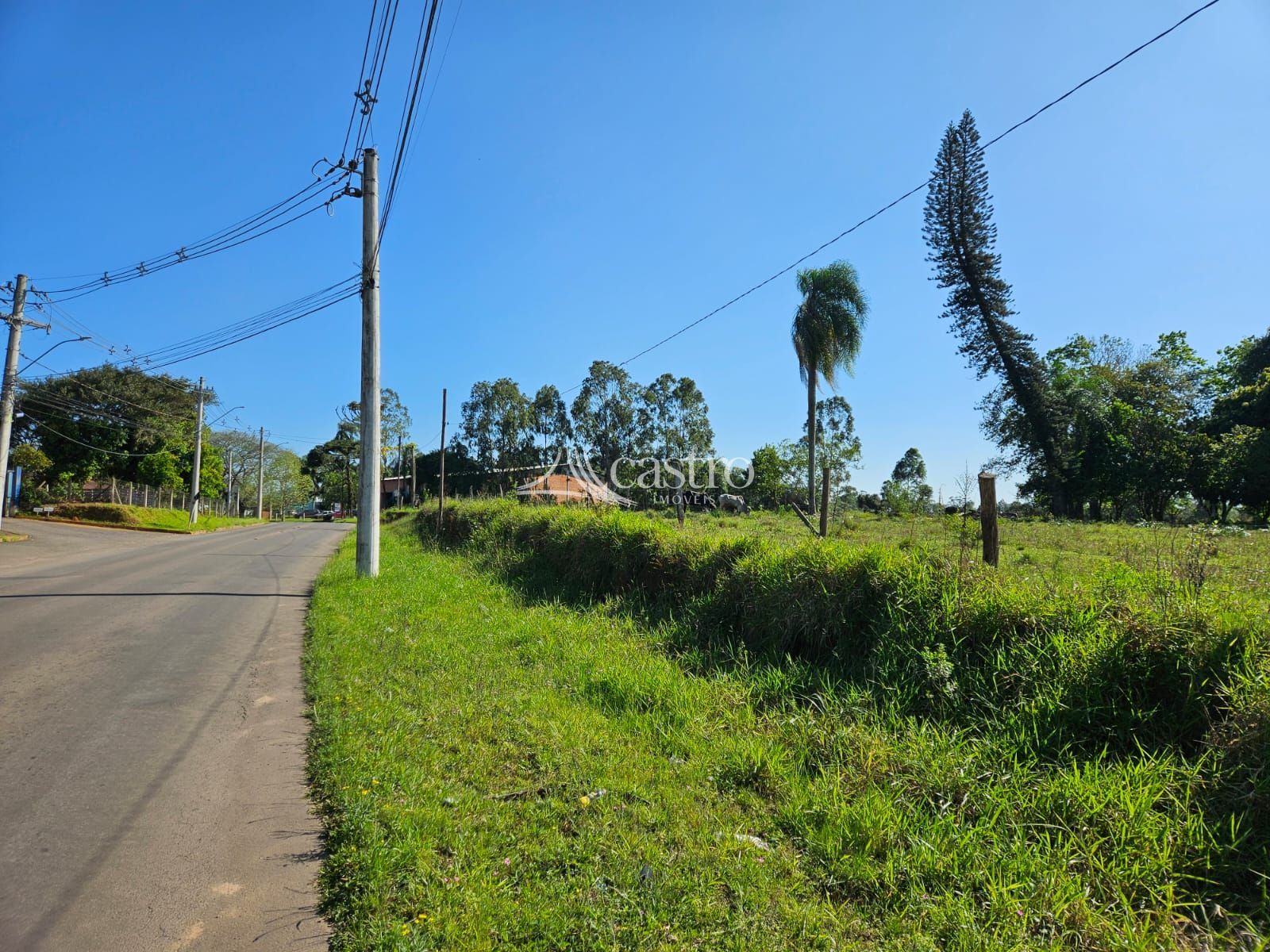 img192716242