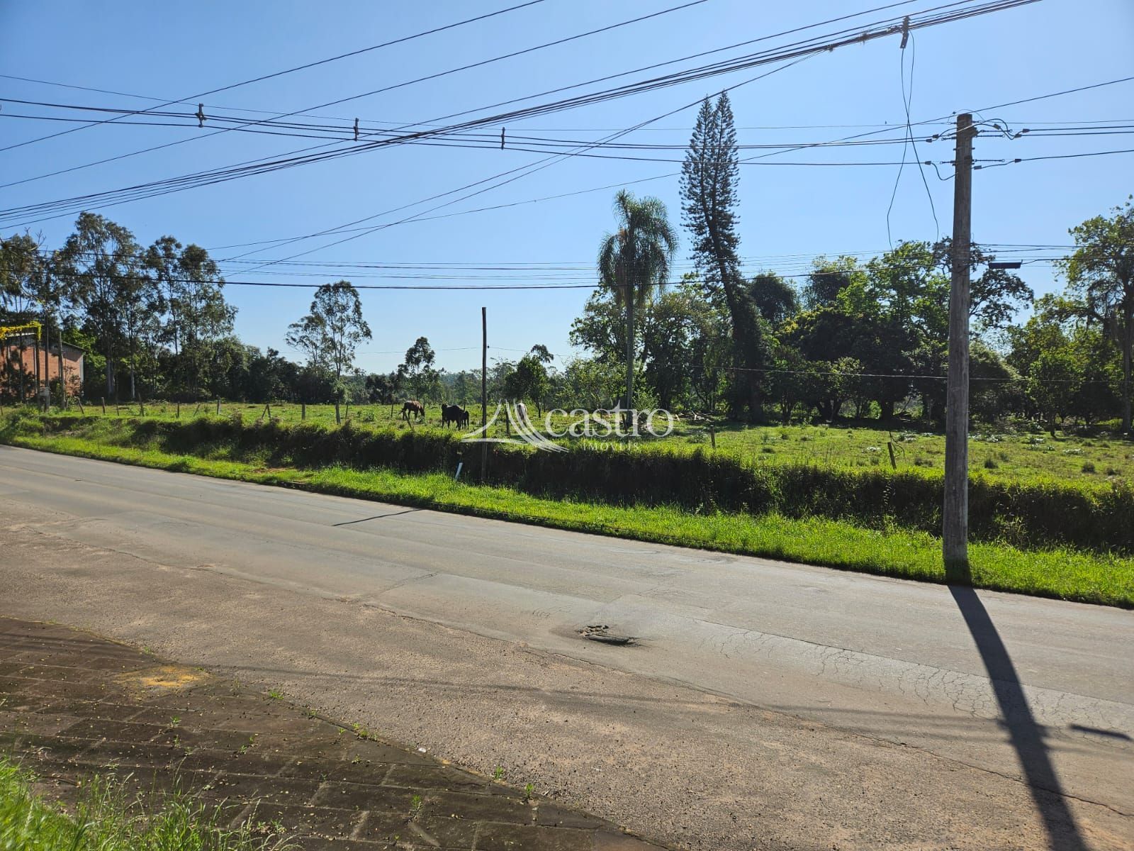 img192716260