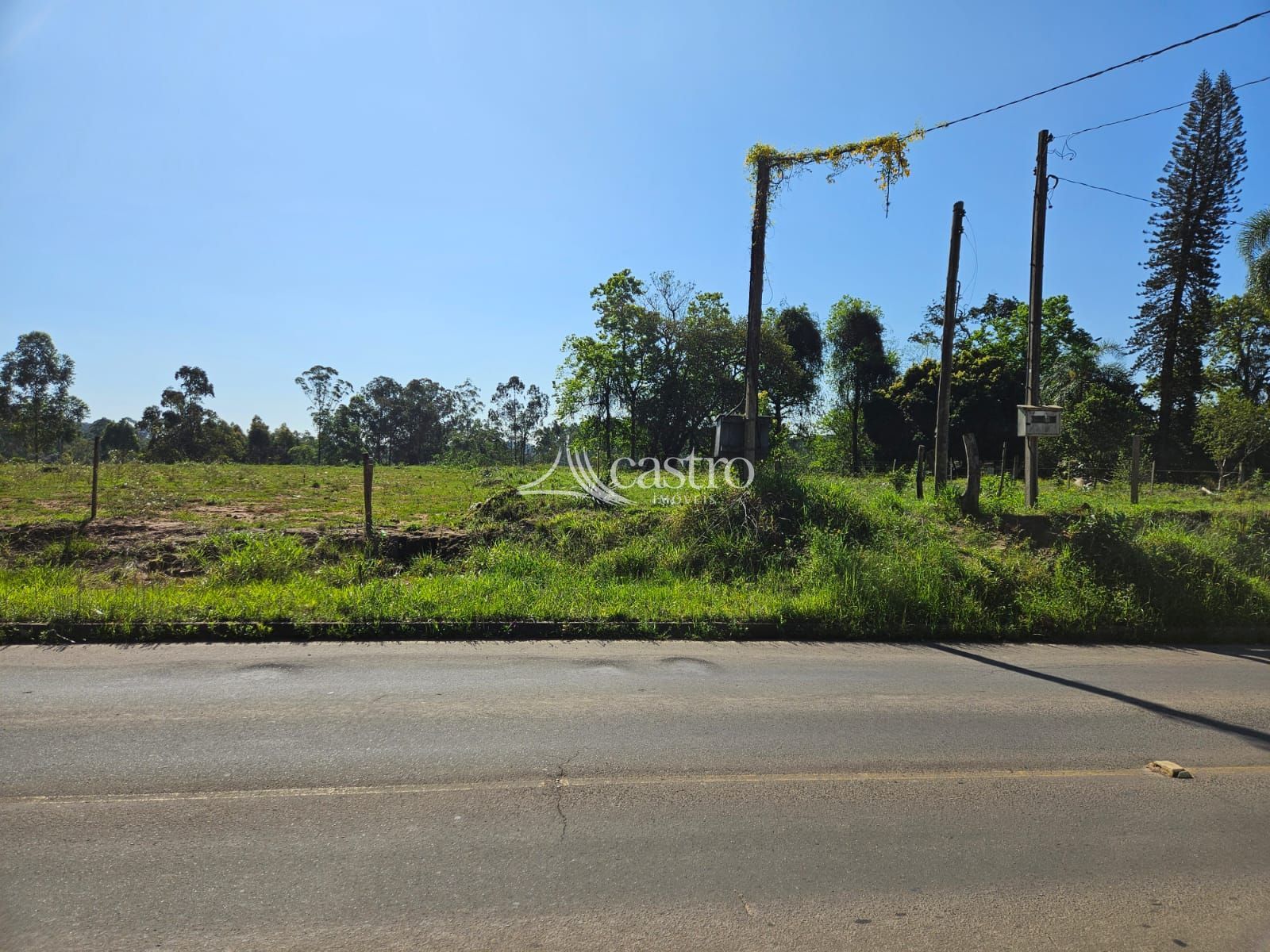 img192716300