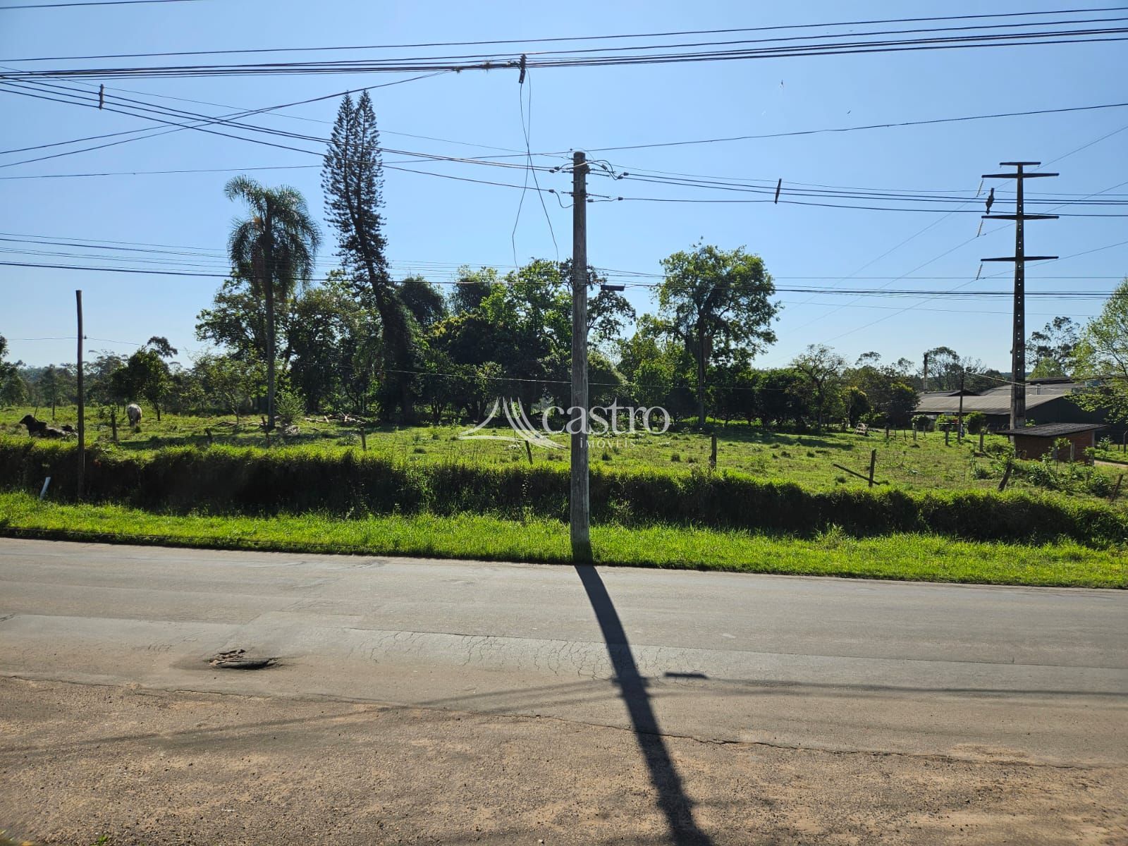 img192728874