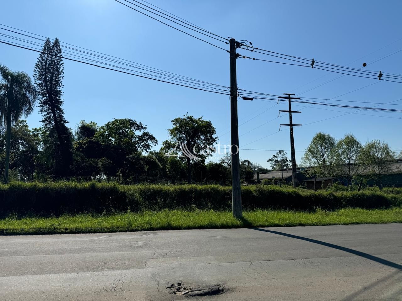 img192728876