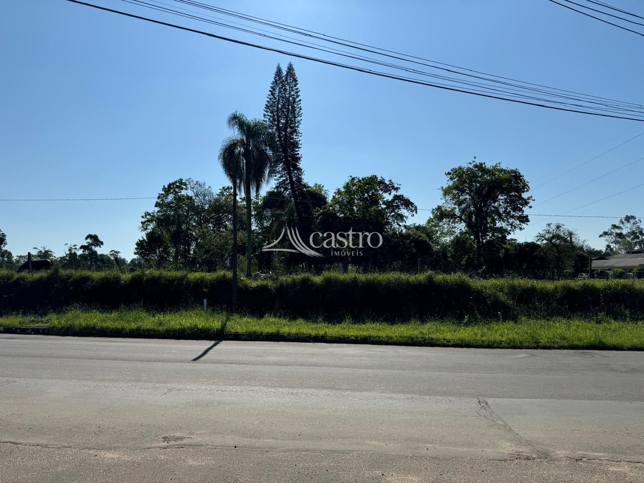 img192728877