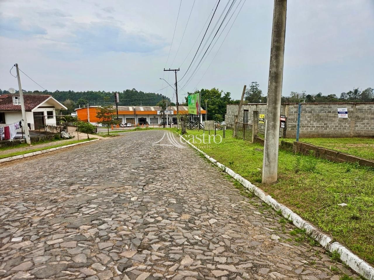 img260869010