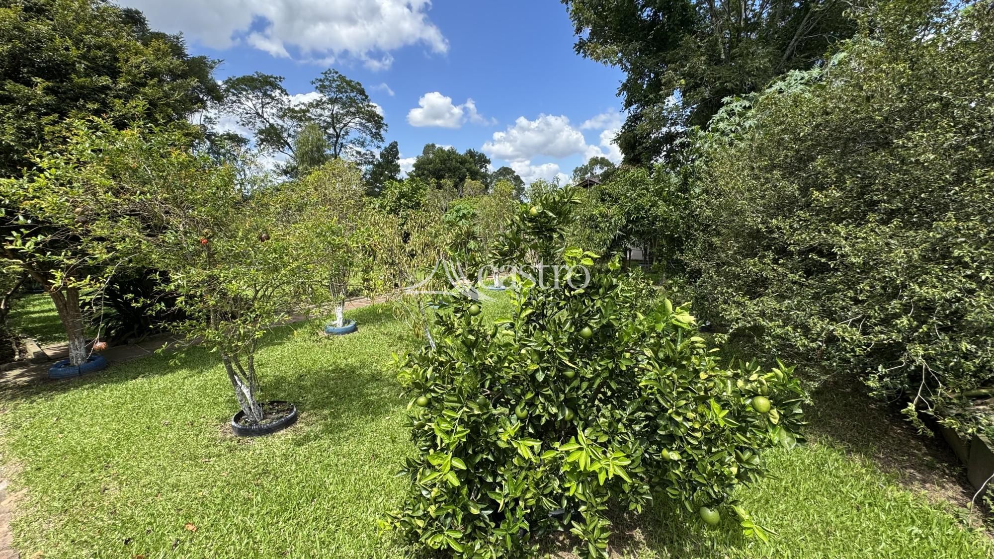 img305400774