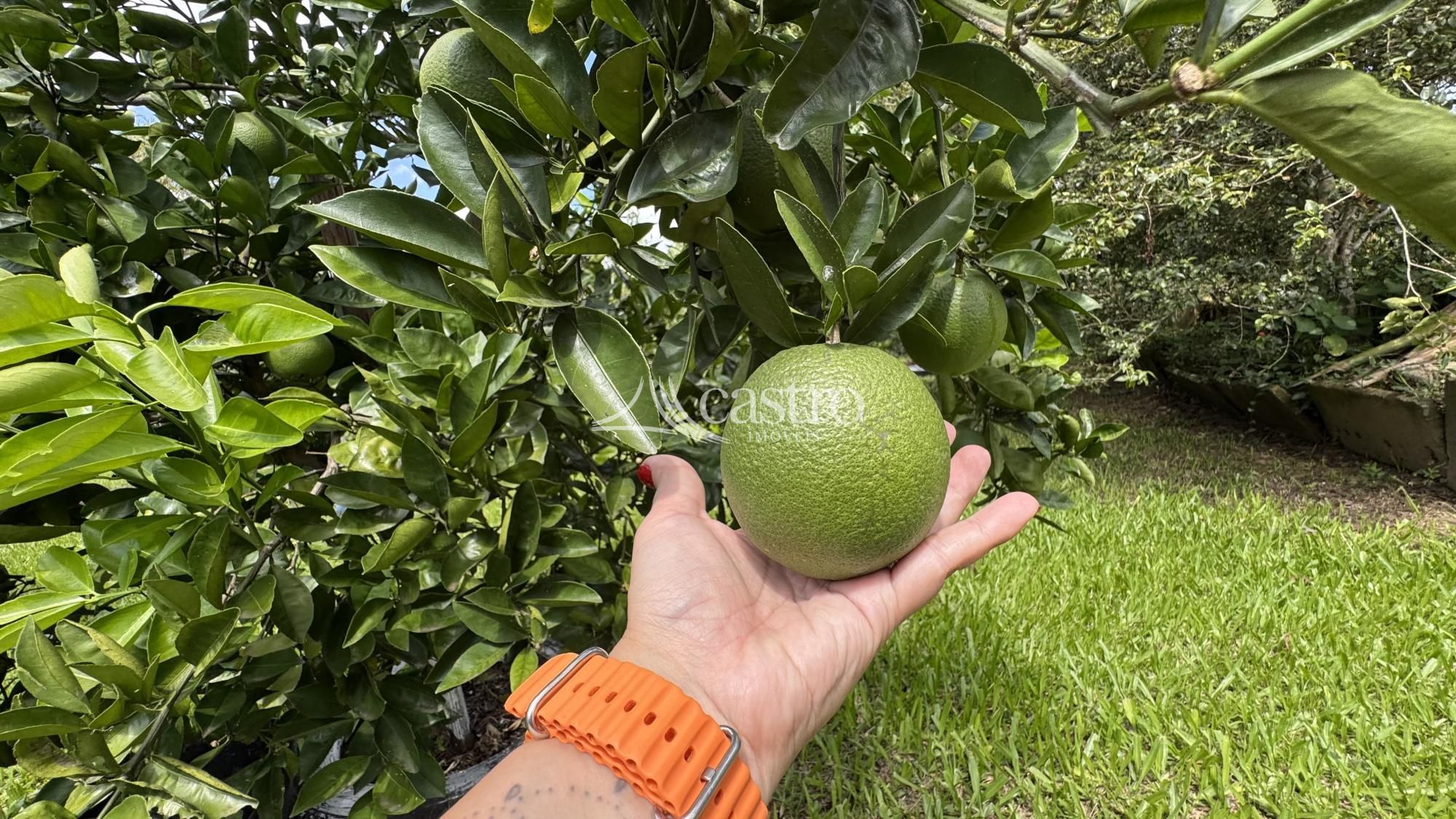 img305400770