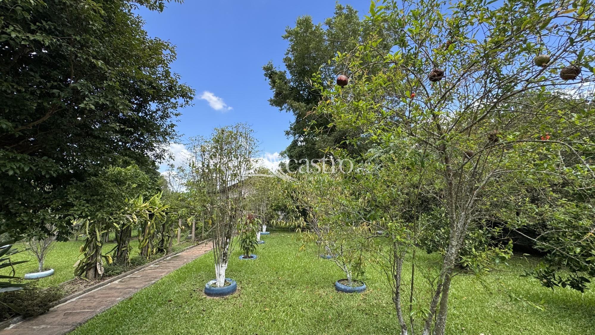 img305400775