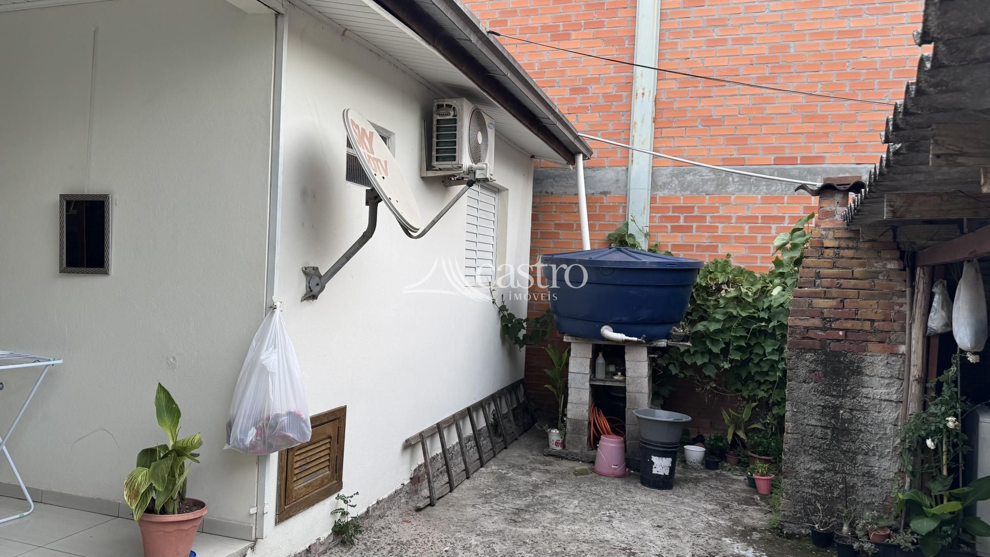 img305420628