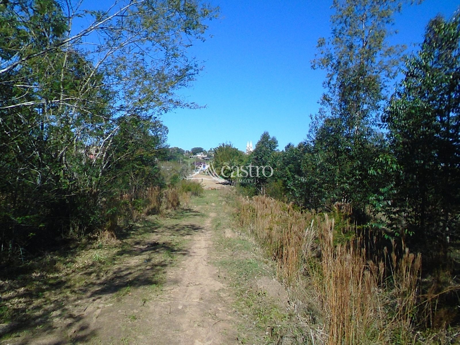 img322232548