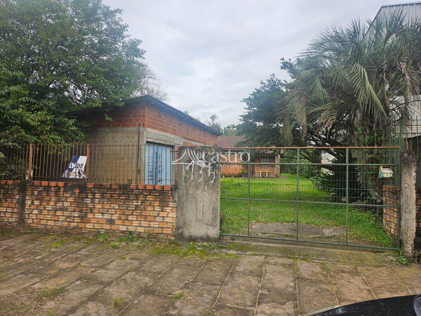img333997149