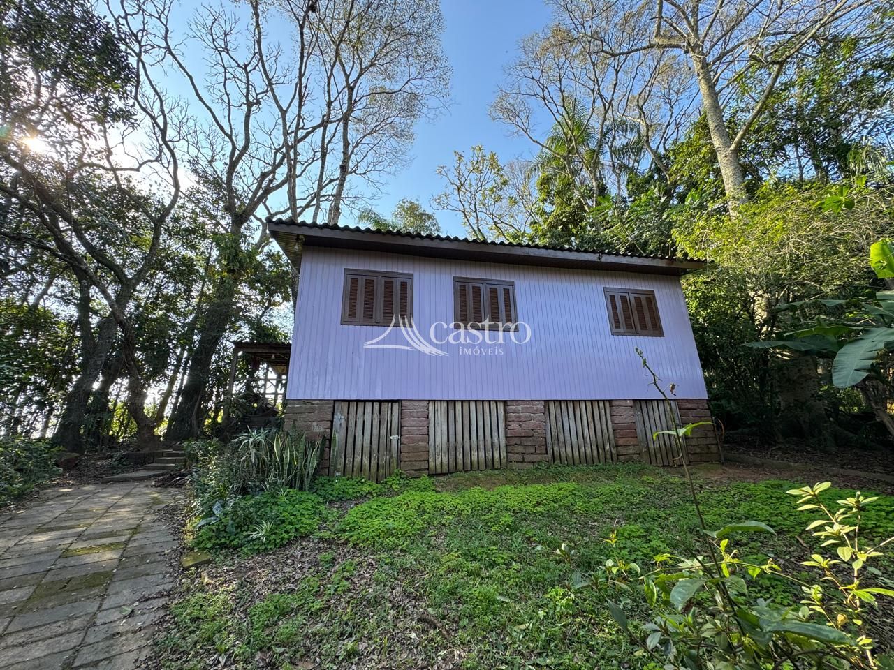 img260750609