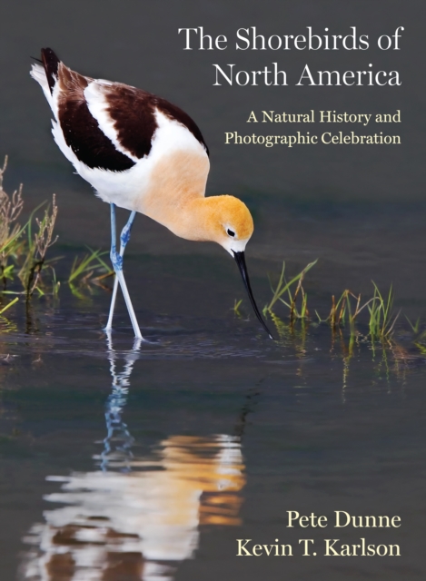 The Shorebirds of North America by Kevin T. Karlson (Hardback Book)