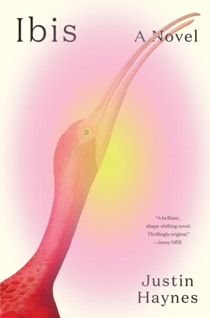 Ibis A Novel by Justin Haynes (Hardback Book)