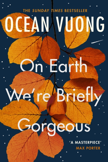 On Earth We're Briefly Gorgeous by Ocean Vuong (Paperback Book)