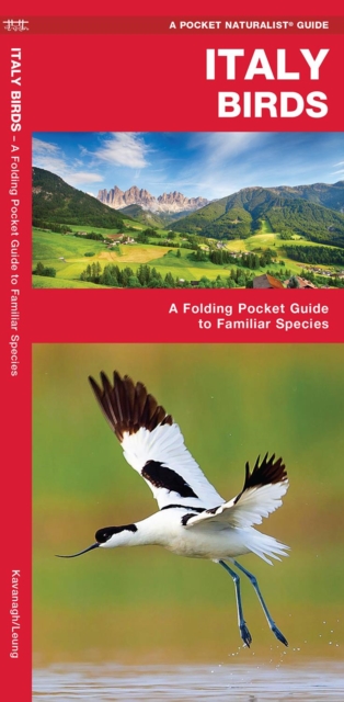 Italy Birds by James, Waterford Press Kavanagh (Pamphlet)