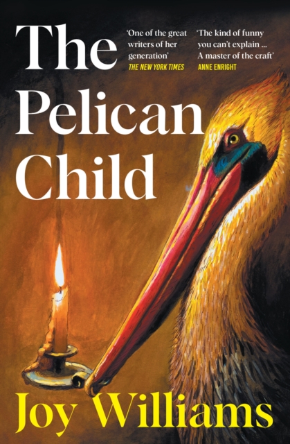 The Pelican Child by Joy Williams (Paperback Book)